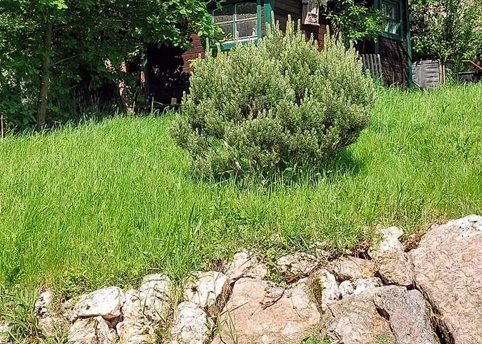 Apartamento Huettenflair-mosel *